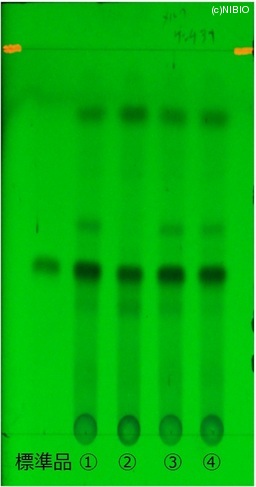 http://mpdb.nibiohn.go.jp/CONTENTS_ROOT/JP_IDENTIFICATION_PHOTO_DATA/JP_IDENTIFICATION_PHOTO_FILE/thumbnail/173.jpg
