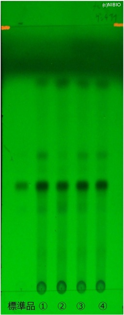 http://mpdb.nibiohn.go.jp/CONTENTS_ROOT/JP_IDENTIFICATION_PHOTO_DATA/JP_IDENTIFICATION_PHOTO_FILE/thumbnail/174.jpg