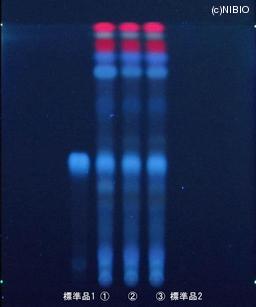 http://mpdb.nibiohn.go.jp/CONTENTS_ROOT/JP_IDENTIFICATION_PHOTO_DATA/JP_IDENTIFICATION_PHOTO_FILE/thumbnail/1198.JPG