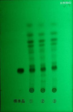 http://mpdb.nibiohn.go.jp/CONTENTS_ROOT/JP_IDENTIFICATION_PHOTO_DATA/JP_IDENTIFICATION_PHOTO_FILE/thumbnail/779.jpg