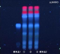 http://mpdb.nibiohn.go.jp/CONTENTS_ROOT/JP_IDENTIFICATION_PHOTO_DATA/JP_IDENTIFICATION_PHOTO_FILE/thumbnail/1199.JPG