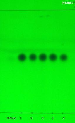 http://mpdb.nibiohn.go.jp/CONTENTS_ROOT/JP_IDENTIFICATION_PHOTO_DATA/JP_IDENTIFICATION_PHOTO_FILE/thumbnail/1218.jpg