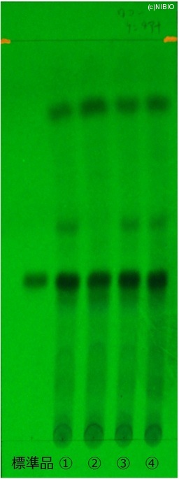 http://mpdb.nibiohn.go.jp/CONTENTS_ROOT/JP_IDENTIFICATION_PHOTO_DATA/JP_IDENTIFICATION_PHOTO_FILE/thumbnail/176.jpg