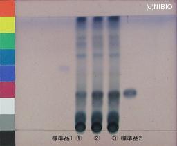 http://mpdb.nibiohn.go.jp/CONTENTS_ROOT/JP_IDENTIFICATION_PHOTO_DATA/JP_IDENTIFICATION_PHOTO_FILE/thumbnail/1203.JPG