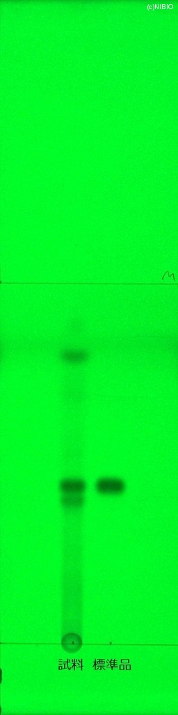 http://mpdb.nibiohn.go.jp/CONTENTS_ROOT/JP_IDENTIFICATION_PHOTO_DATA/JP_IDENTIFICATION_PHOTO_FILE/thumbnail/468.jpg