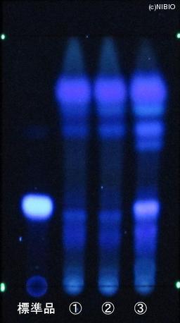 http://mpdb.nibiohn.go.jp/CONTENTS_ROOT/JP_IDENTIFICATION_PHOTO_DATA/JP_IDENTIFICATION_PHOTO_FILE/thumbnail/843.JPG