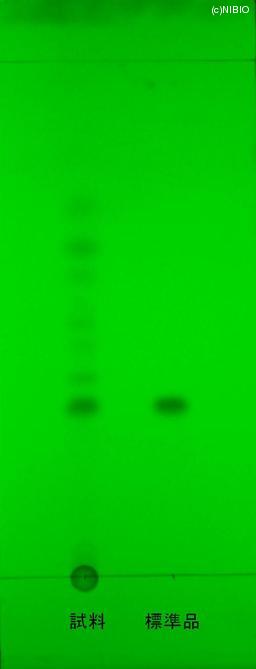 http://mpdb.nibiohn.go.jp/CONTENTS_ROOT/JP_IDENTIFICATION_PHOTO_DATA/JP_IDENTIFICATION_PHOTO_FILE/thumbnail/786.JPG
