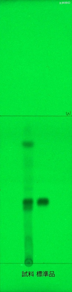 http://mpdb.nibiohn.go.jp/CONTENTS_ROOT/JP_IDENTIFICATION_PHOTO_DATA/JP_IDENTIFICATION_PHOTO_FILE/thumbnail/470.jpg