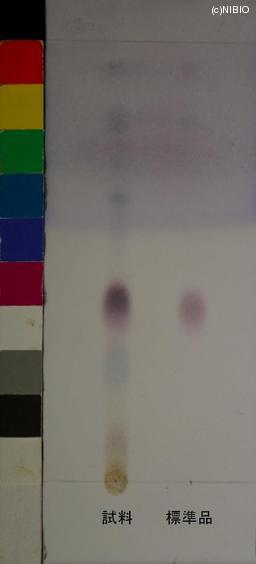 http://mpdb.nibiohn.go.jp/CONTENTS_ROOT/JP_IDENTIFICATION_PHOTO_DATA/JP_IDENTIFICATION_PHOTO_FILE/thumbnail/810.JPG