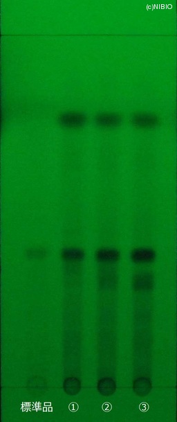 http://mpdb.nibiohn.go.jp/CONTENTS_ROOT/JP_IDENTIFICATION_PHOTO_DATA/JP_IDENTIFICATION_PHOTO_FILE/thumbnail/472.jpg