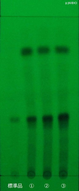 http://mpdb.nibiohn.go.jp/CONTENTS_ROOT/JP_IDENTIFICATION_PHOTO_DATA/JP_IDENTIFICATION_PHOTO_FILE/thumbnail/474.jpg