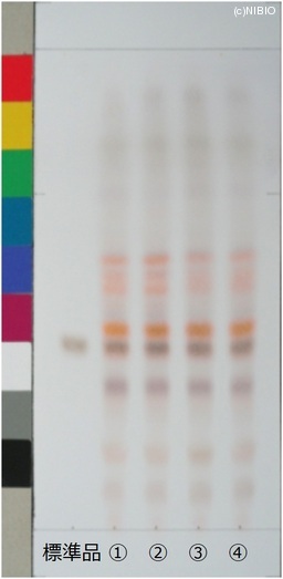 http://mpdb.nibiohn.go.jp/CONTENTS_ROOT/JP_IDENTIFICATION_PHOTO_DATA/JP_IDENTIFICATION_PHOTO_FILE/thumbnail/520.jpg
