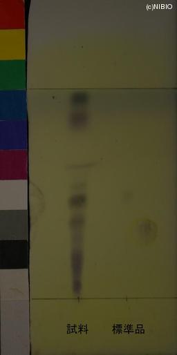 http://mpdb.nibiohn.go.jp/CONTENTS_ROOT/JP_IDENTIFICATION_PHOTO_DATA/JP_IDENTIFICATION_PHOTO_FILE/thumbnail/649.JPG