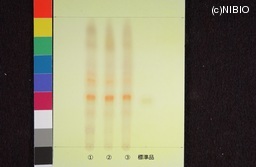 http://mpdb.nibiohn.go.jp/CONTENTS_ROOT/JP_IDENTIFICATION_PHOTO_DATA/JP_IDENTIFICATION_PHOTO_FILE/thumbnail/537.jpg