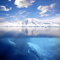 https://upload.wikimedia.org/wikipedia/commons/thumb/2/25/H2O.jpg/200px-H2O.jpg