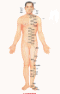 ̗z݌o
