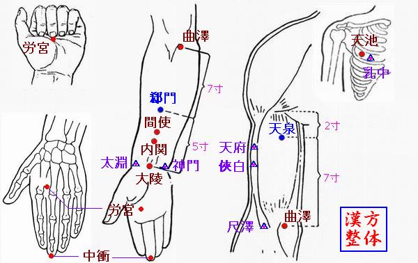 手の厥陰心包経のツボ