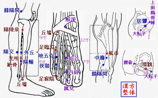 足少陽胆経のツボ