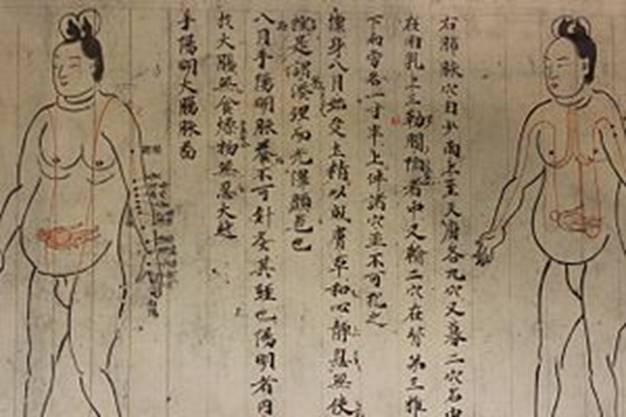 https://upload.wikimedia.org/wikipedia/commons/thumb/4/4d/Isinnhou.jpg/300px-Isinnhou.jpg