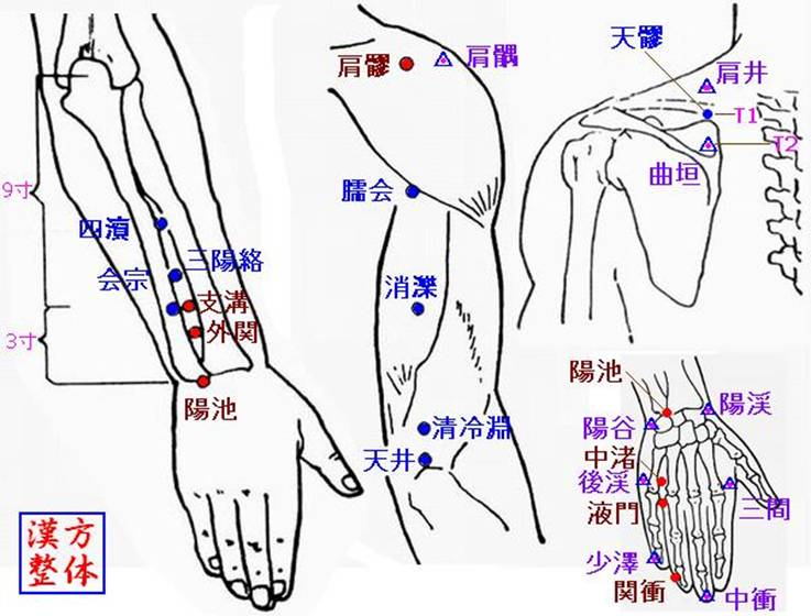 手少陽三焦経のツボ