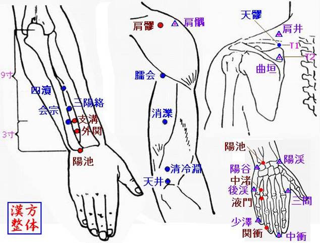 手少陽三焦経のツボ