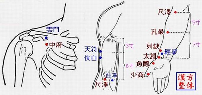 手太陰肺経のツボ