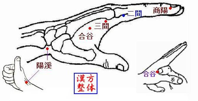 手陽明大腸経のツボ-1