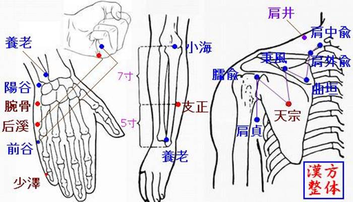 手太陽小腸経のツボ