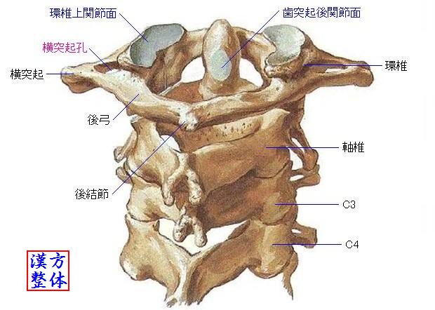 環軸関節
