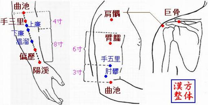 手陽明大腸経のツボ-2
