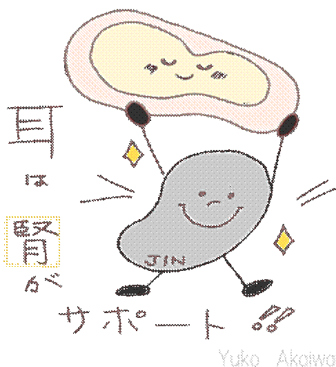 耳は腎がサポート