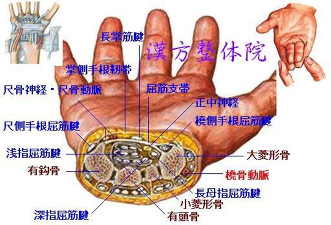 手根管