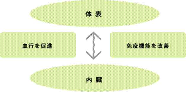 http://klma.or.jp/wp-content/themes/naturaltime/images/figure/figure02.gif