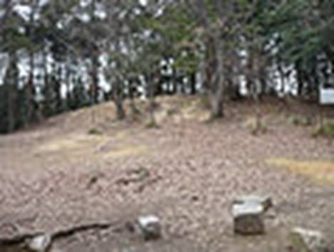 https://upload.wikimedia.org/wikipedia/commons/thumb/1/12/Yamazakijo04.jpg/120px-Yamazakijo04.jpg