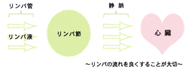 http://klma.or.jp/wp-content/themes/naturaltime/images/figure/figure03.gif