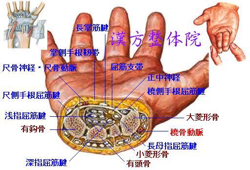 手根管