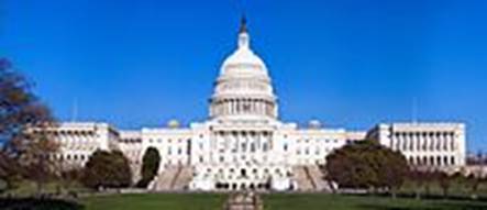 アメリカ合衆国議会議事堂上院 (左) 、下院 (右)