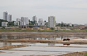https://upload.wikimedia.org/wikipedia/commons/thumb/9/95/Nampocity.jpg/170px-Nampocity.jpg