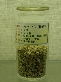 https://upload.wikimedia.org/wikipedia/commons/thumb/0/0b/Pueraria_lobata_%2C%E8%91%9B%E6%A0%B9%2C5026759.JPG/200px-Pueraria_lobata_%2C%E8%91%9B%E6%A0%B9%2C5026759.JPG