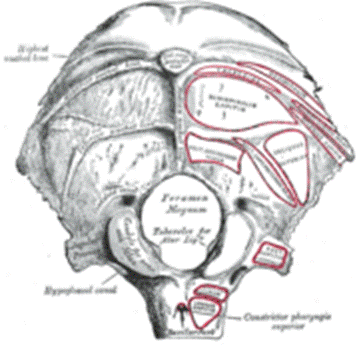https://upload.wikimedia.org/wikipedia/commons/thumb/8/88/Gray129.png/180px-Gray129.png