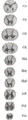 https://upload.wikimedia.org/wikipedia/commons/thumb/1/11/Gray666.png/28px-Gray666.png
