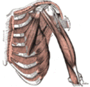 https://upload.wikimedia.org/wikipedia/commons/thumb/f/f2/Gray411.png/120px-Gray411.png