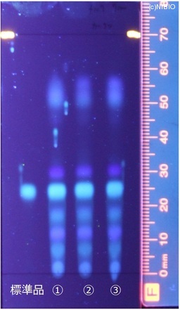 http://mpdb.nibiohn.go.jp/CONTENTS_ROOT/JP_IDENTIFICATION_PHOTO_DATA/JP_IDENTIFICATION_PHOTO_FILE/thumbnail/335.jpg