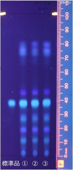 http://mpdb.nibiohn.go.jp/CONTENTS_ROOT/JP_IDENTIFICATION_PHOTO_DATA/JP_IDENTIFICATION_PHOTO_FILE/thumbnail/336.jpg