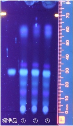 http://mpdb.nibiohn.go.jp/CONTENTS_ROOT/JP_IDENTIFICATION_PHOTO_DATA/JP_IDENTIFICATION_PHOTO_FILE/thumbnail/337.jpg