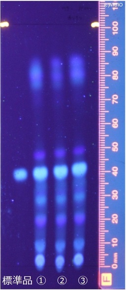 http://mpdb.nibiohn.go.jp/CONTENTS_ROOT/JP_IDENTIFICATION_PHOTO_DATA/JP_IDENTIFICATION_PHOTO_FILE/thumbnail/338.jpg