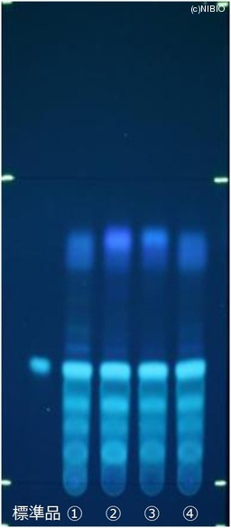 http://mpdb.nibiohn.go.jp/CONTENTS_ROOT/JP_IDENTIFICATION_PHOTO_DATA/JP_IDENTIFICATION_PHOTO_FILE/thumbnail/403.jpg