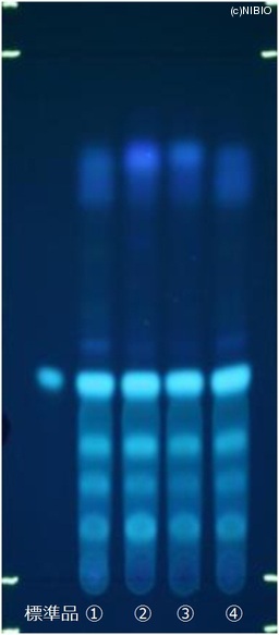 http://mpdb.nibiohn.go.jp/CONTENTS_ROOT/JP_IDENTIFICATION_PHOTO_DATA/JP_IDENTIFICATION_PHOTO_FILE/thumbnail/404.jpg
