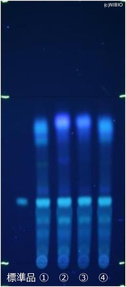 http://mpdb.nibiohn.go.jp/CONTENTS_ROOT/JP_IDENTIFICATION_PHOTO_DATA/JP_IDENTIFICATION_PHOTO_FILE/thumbnail/405.jpg