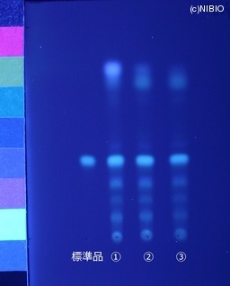 http://mpdb.nibiohn.go.jp/CONTENTS_ROOT/JP_IDENTIFICATION_PHOTO_DATA/JP_IDENTIFICATION_PHOTO_FILE/thumbnail/407.JPG